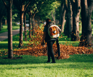 Fall Cleanup