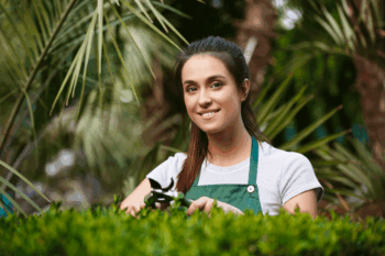 landscapingservice landscapingservice
